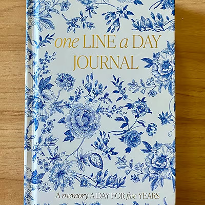 Sweet Water Decor Mom's One Line a Day Memory Journal, Cute Undated Entry Notebook for Women, 366... | Amazon (US)