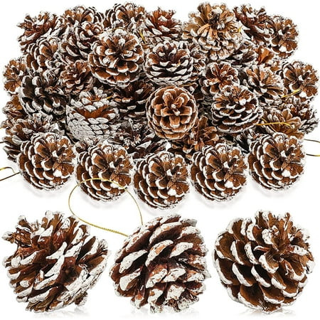 18 Pieces Pine Cones for Christmas Tree White Christmas Pine Cones Ornaments Pine Cones Decorations Frosted Mini Pine Cones Xmas Pinecones with String Pendant Crafts for Farmhouse Winter Party | Walmart (US)
