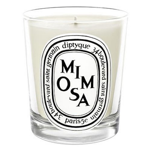 Diptyque Mimosa Candle-6.5 oz. | Amazon (US)