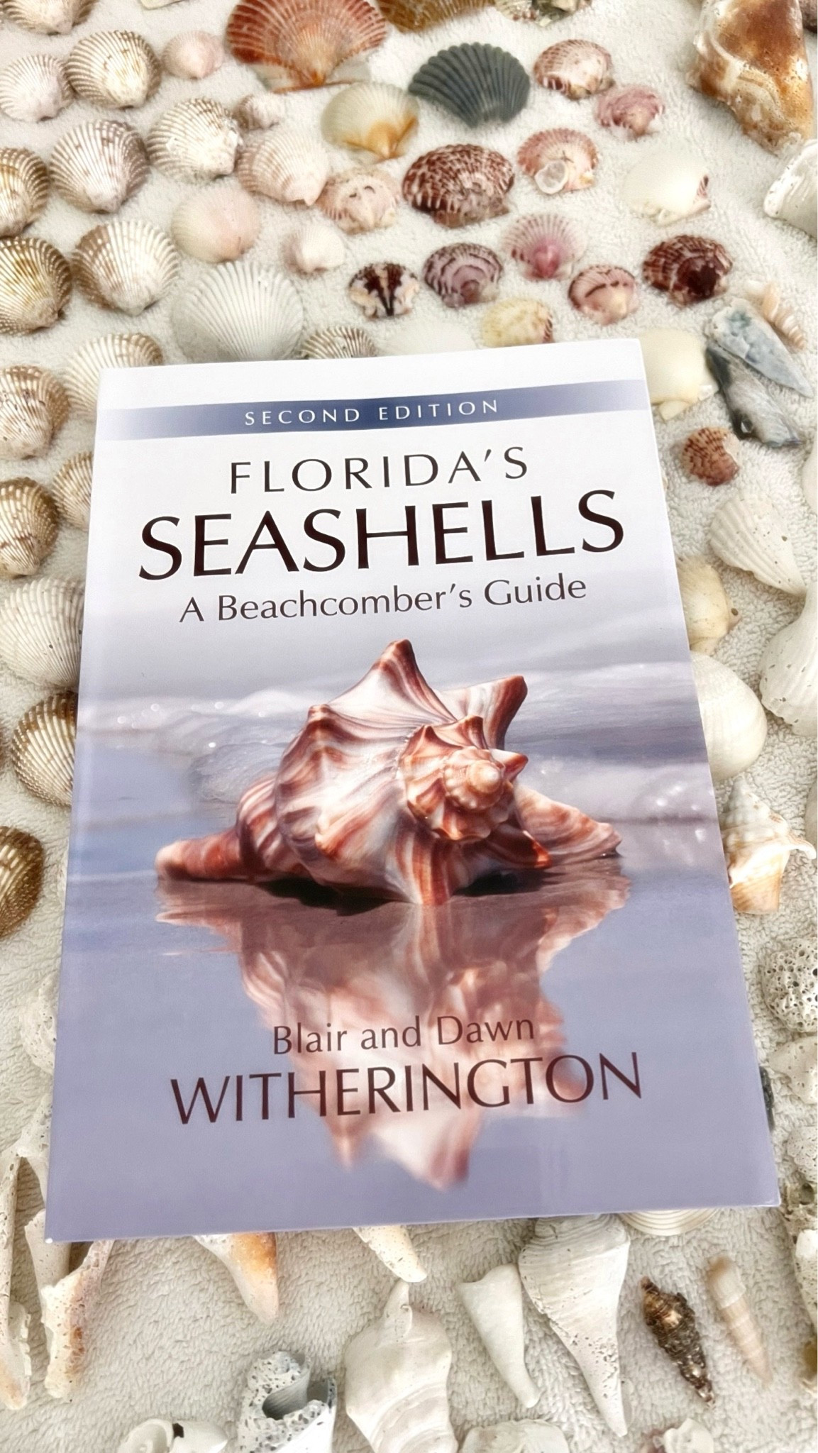 If you’re looking for a gift for the beach lover in your life, this is a fantastic book under $10!

Trying to identify all of the shells 🐚 I found last weekend. Bought this seashell book and it’s AMAZING! Really is helping. It also tells you where you can find specific shells in Florida!

Also linking beach shelling must haves!

#LTKSeasonal #LTKOver40 #LTKSaleAlert #LTKMothersDay #LTKTravel #LTKHome #LTKSwim