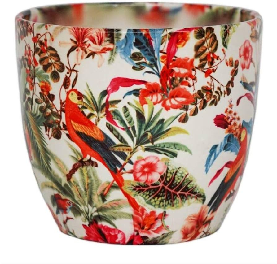 Ivyline Indoor Plant Pot, Monza Tropical Parrot, H13cm x D13cm, Red/Cream, One Size | Amazon (UK)