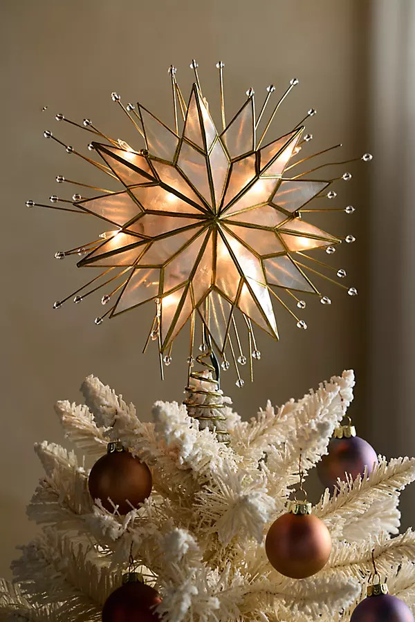 Pre-Lit Placuna Shell Star Tree Topper | Terrain