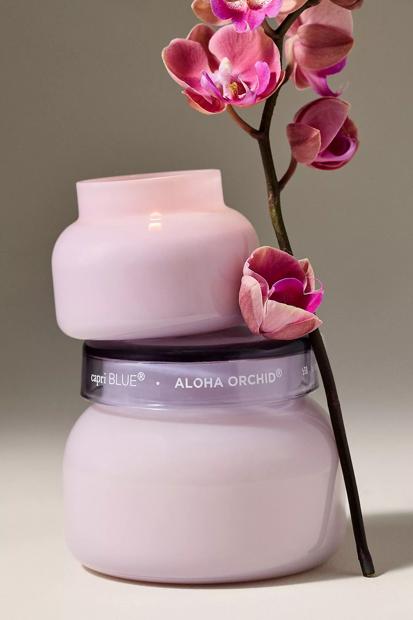 Capri Blue Floral Aloha Orchid Glass Jar Candle | Anthropologie (US)