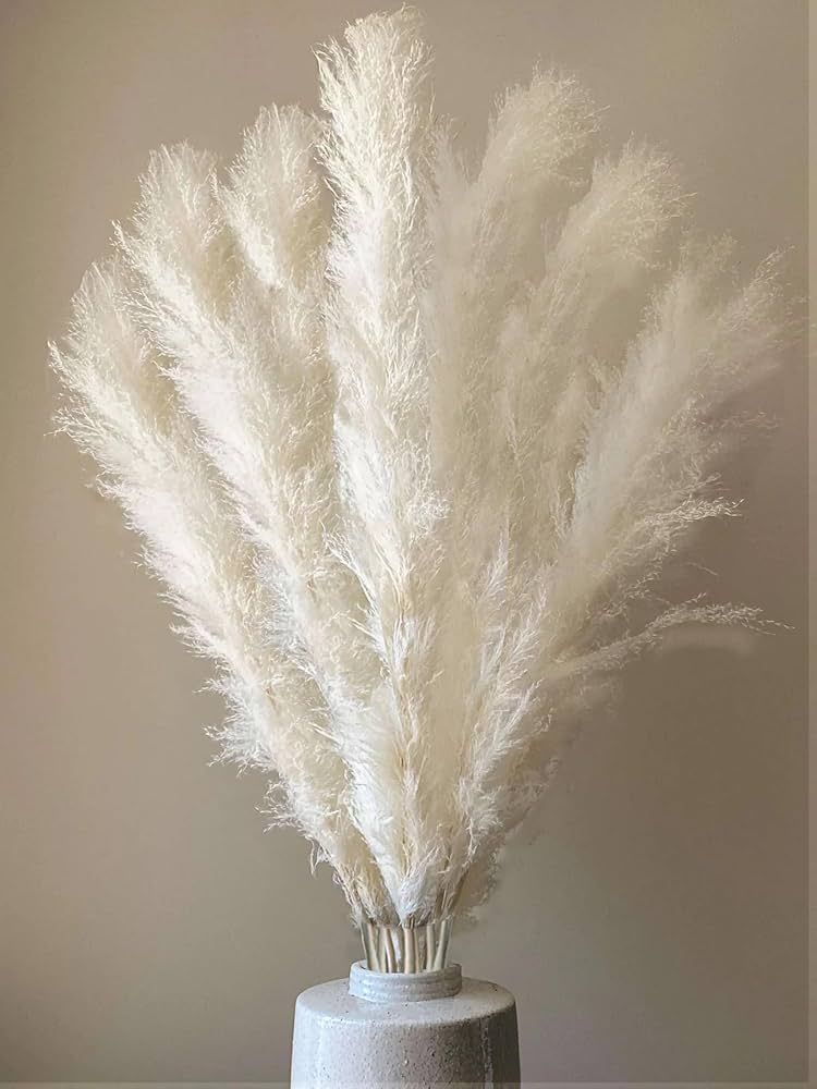 40'' inch 7 Stems White Pampas Grass Decor - Extra Tall Pampas Grass for Floor Vase - Natural Whi... | Amazon (US)