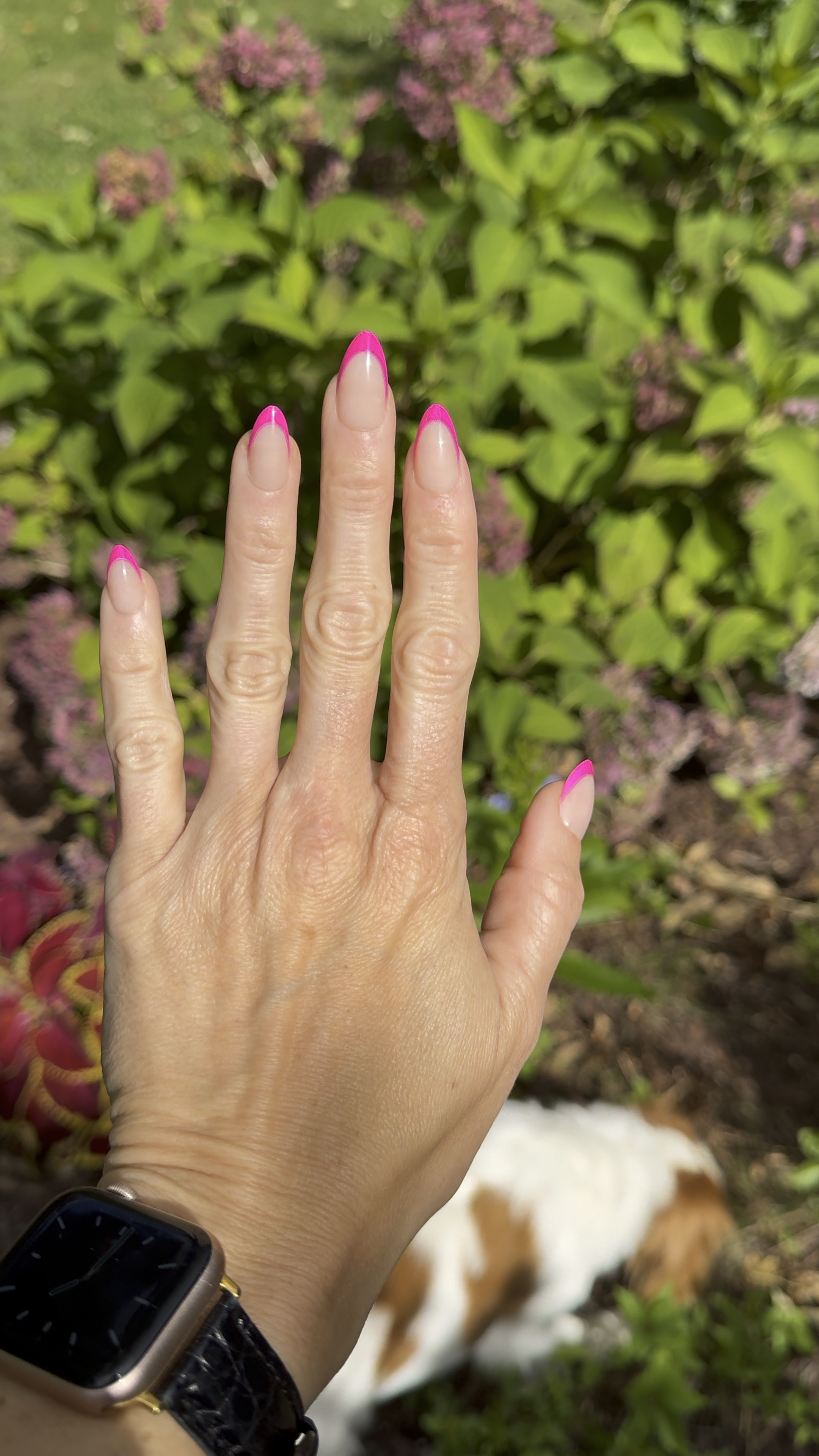 DIY manicure 
These nails look amazing on, are SO easy to use and be glued or pressed on. 

#LTKOver40 #LTKBeauty #LTKFindsUnder50