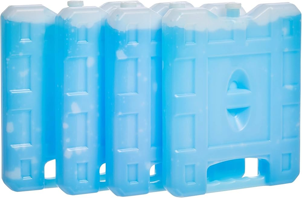 Amazon Basics Reusable Hard Sided Rectangular Ice Pack, Pack of 4, Medium, Blue, 8.3" X 6.7" X 1.... | Amazon (US)