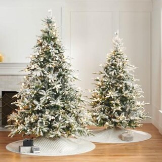 Wintercrest Fir Tree | Frontgate