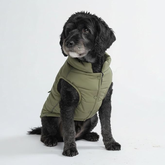 Spark Paws Dog Winter Jacket, Water-Resistant Coat, Warm Reflective Windproof Fleece-Interior, fo... | Amazon (US)
