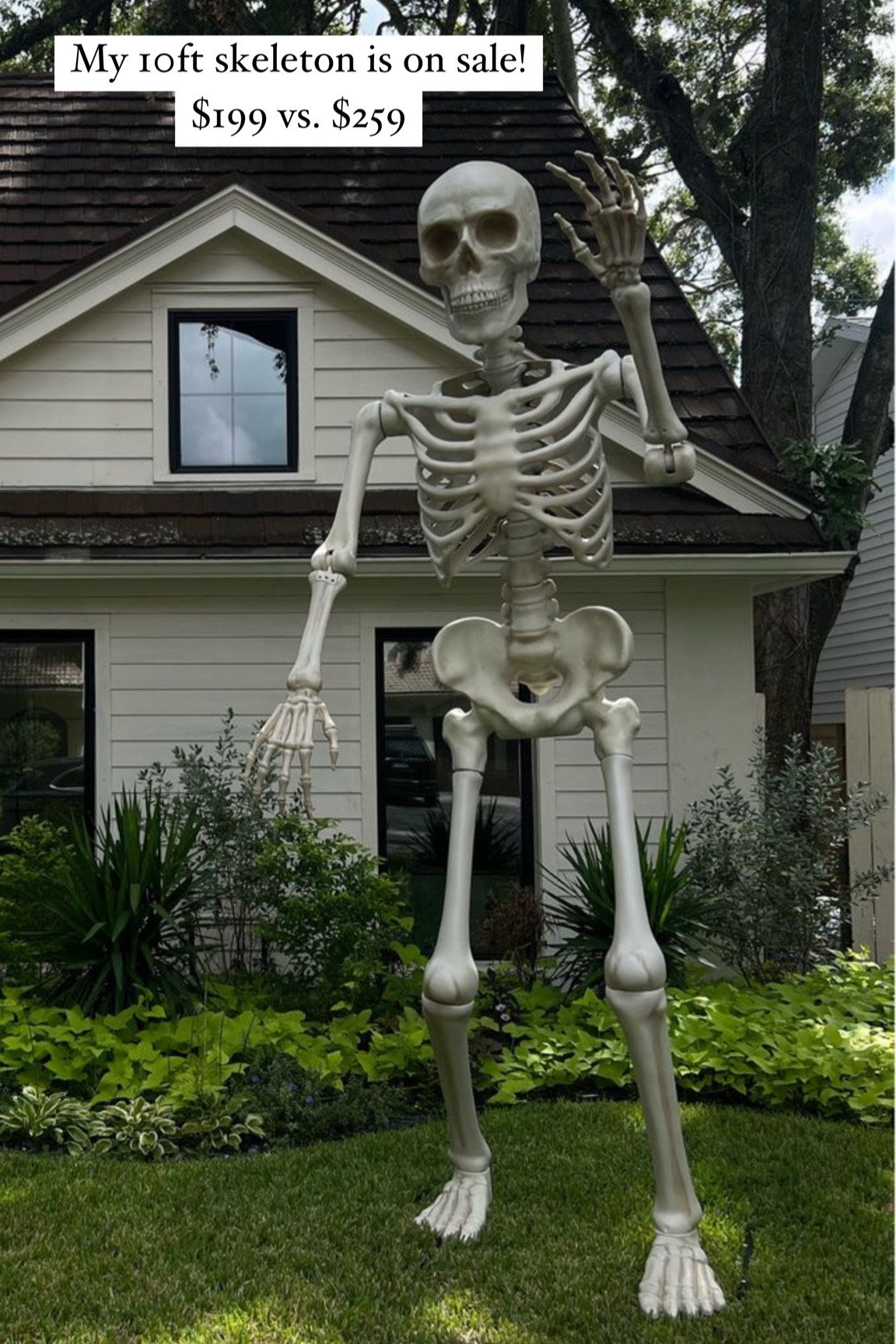 My 10ft skeleton is on sale

Halloween decor, home, Halloween 

#LTKHalloween #LTKSeasonal #LTKhome