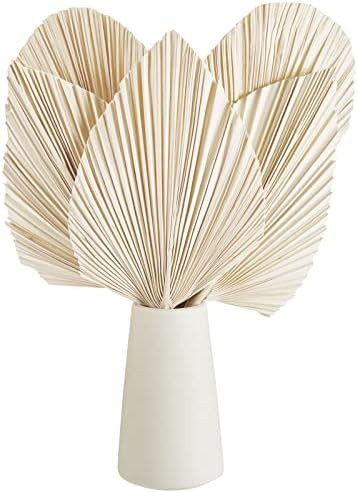 Natural Dried Palm Leaves Real Palm Leaves Decor Boho Palm Fans Tropical Palm Flowers Dried Palm ... | Amazon (US)