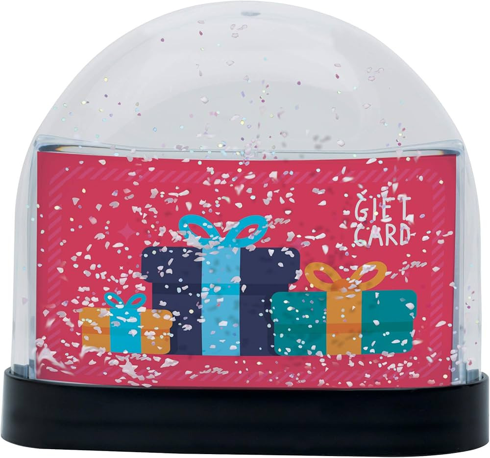 Neil Enterprises Inc. Gift Card Snow Globe | Amazon (US)