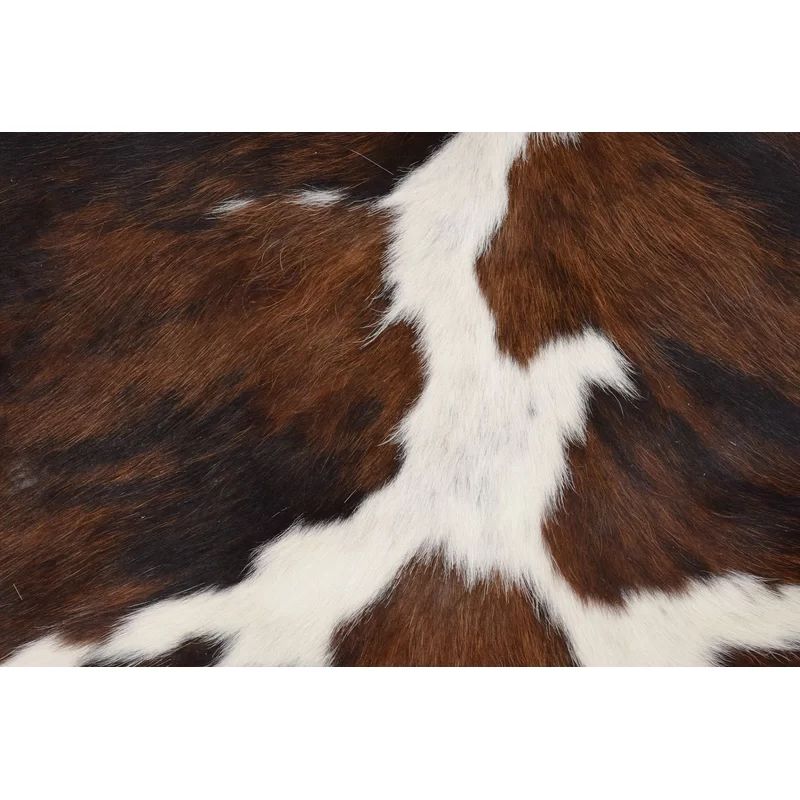 Oavia Animal Print Handmade Cowhide Area Rug in Black/Brown/White (Natural Product With Variation... | Wayfair North America