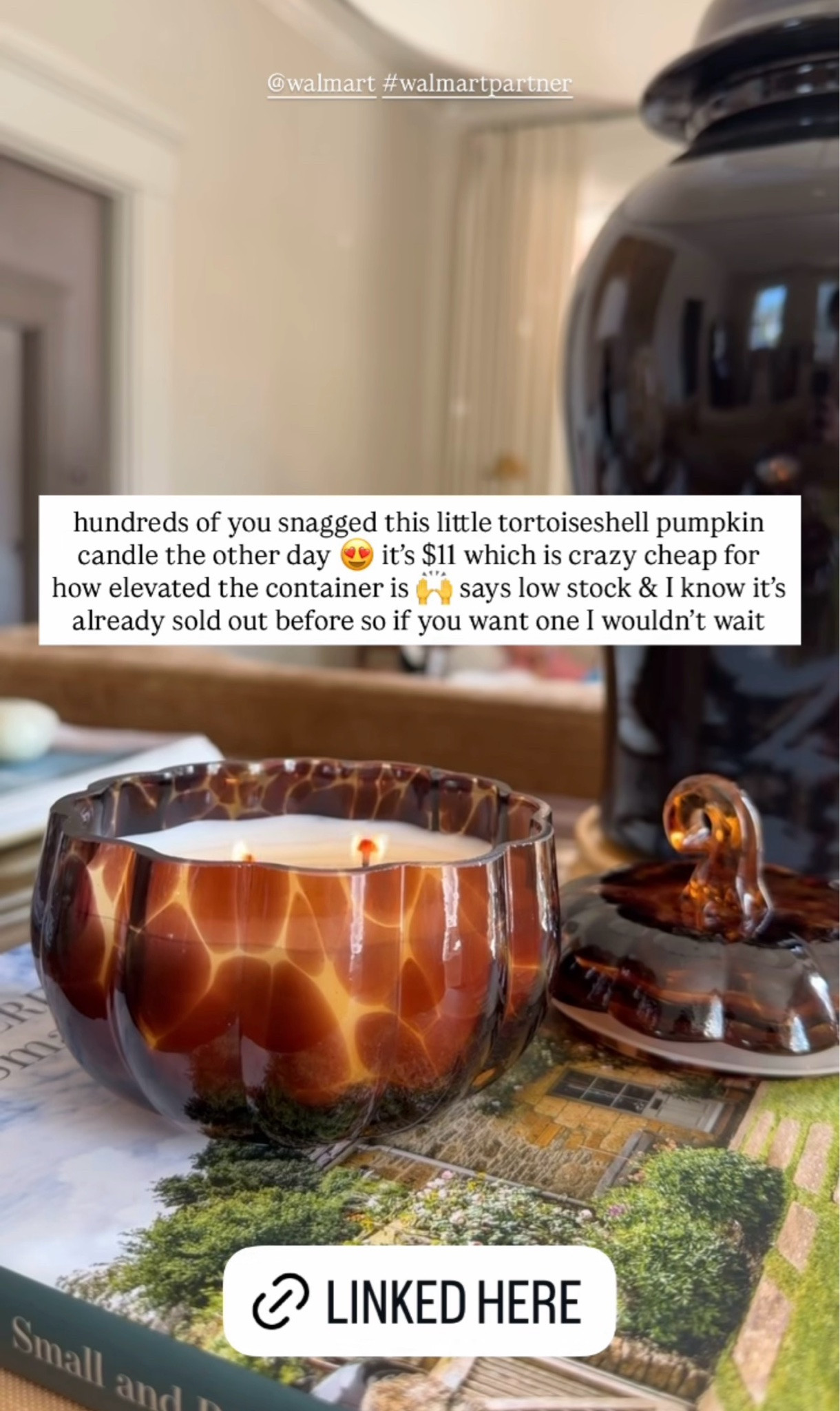 hundreds of you snagged this little tortoiseshell pumpkin candle the other day 😍 it's $11 which is crazy cheap for
how elevated the container is 🙌 says low stock & I know it's already sold out before so if you want one I wouldn't wait

#LTKHome #LTKdayinmylife #LTKSeasonal