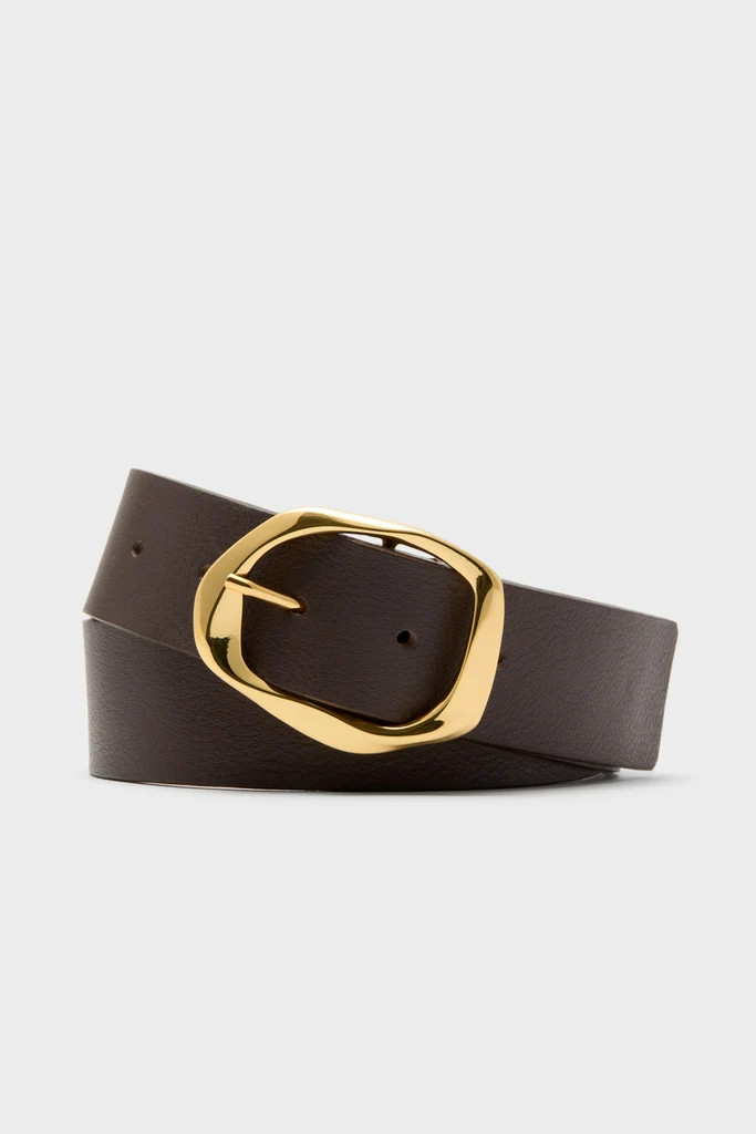 Chocolate and Gold Edmond Mini Belt | Tuckernuck (US)