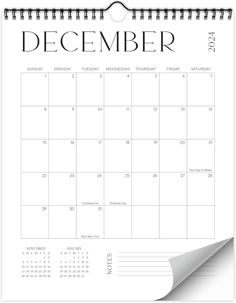 Beautiful 2025 Wall Calendar - Runs from June 2024 until December 2025 – 14.5"x11.5" 2024-2025 ... | Amazon (US)