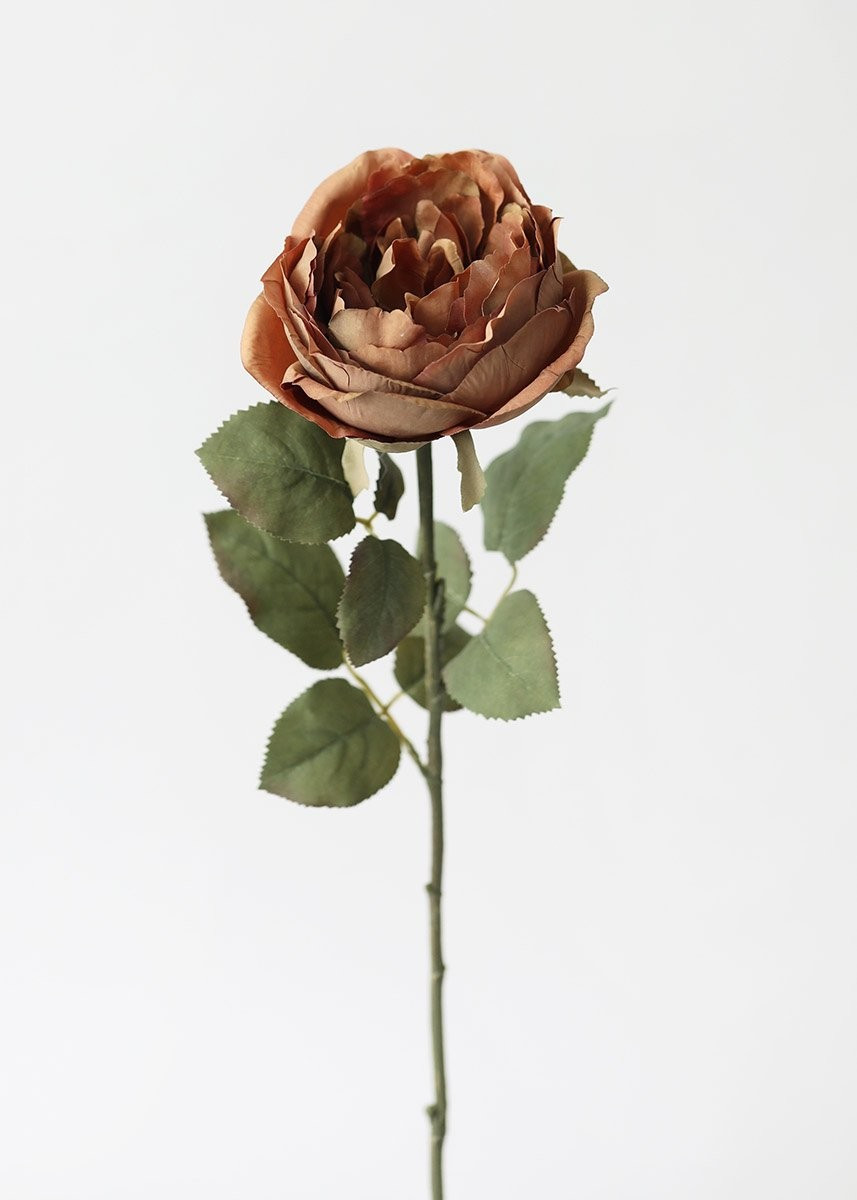 Artificial Garden Rose in Earthy Brown - 26" | Afloral (US)