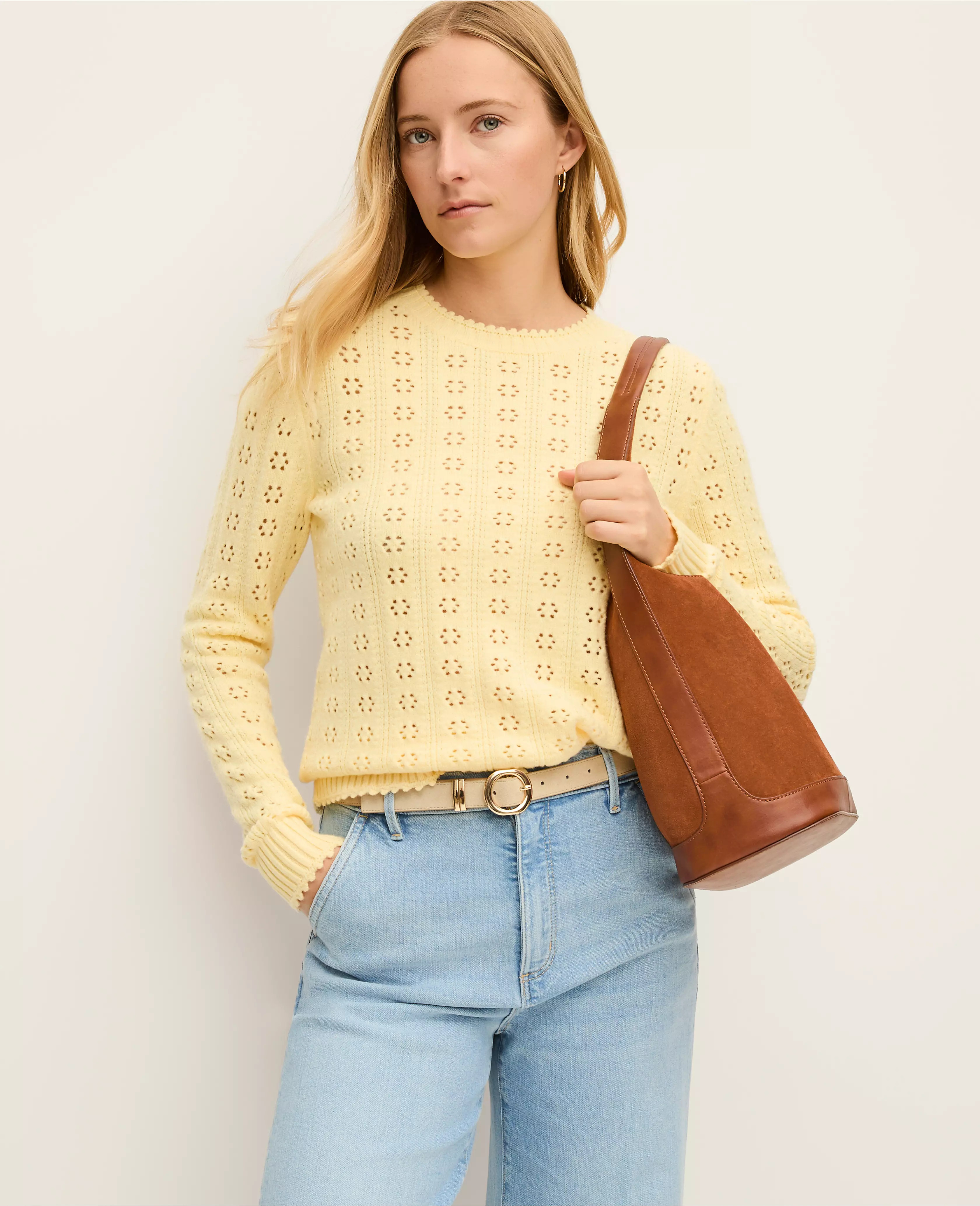 Cozy Pointelle Sweater | Ann Taylor