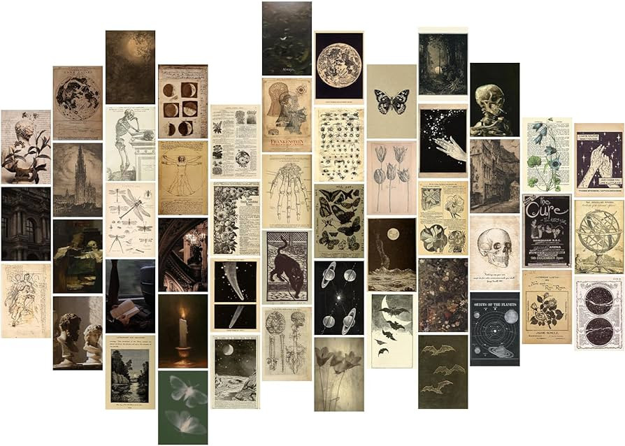 TWNSLLA Vintage Gothic Decor for Home,Dark Academia Wall Art Prints,Gothic Wall Art Goth Posters,... | Amazon (US)