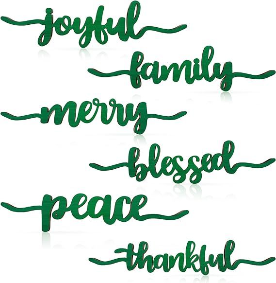 12 Pieces Thankful Blessed Merry Joyful Peace Family Wood Cutout Rustic Thankful Plate Letter Sig... | Amazon (US)