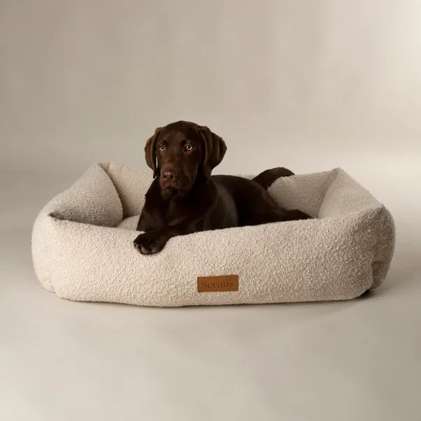 Scruffs Boucle Pet Box Bed | Dunelm (migrated)