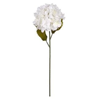 Cream Hydrangea Stem by Ashland® | Michaels Stores