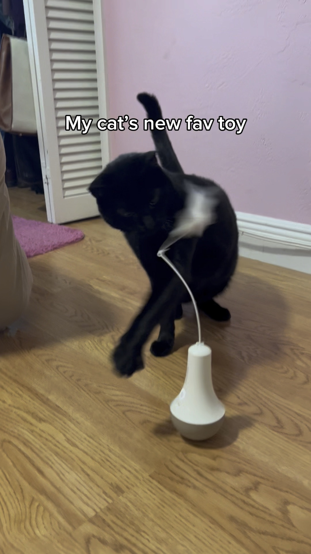 #LTKVideo #LTKfindsunder50 #LTKsalealert