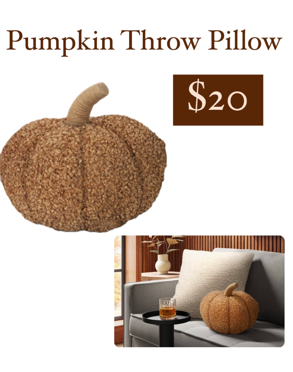 Teddy Pumpkins! 

#LTKFallSale #LTKVideo #LTKSeasonal