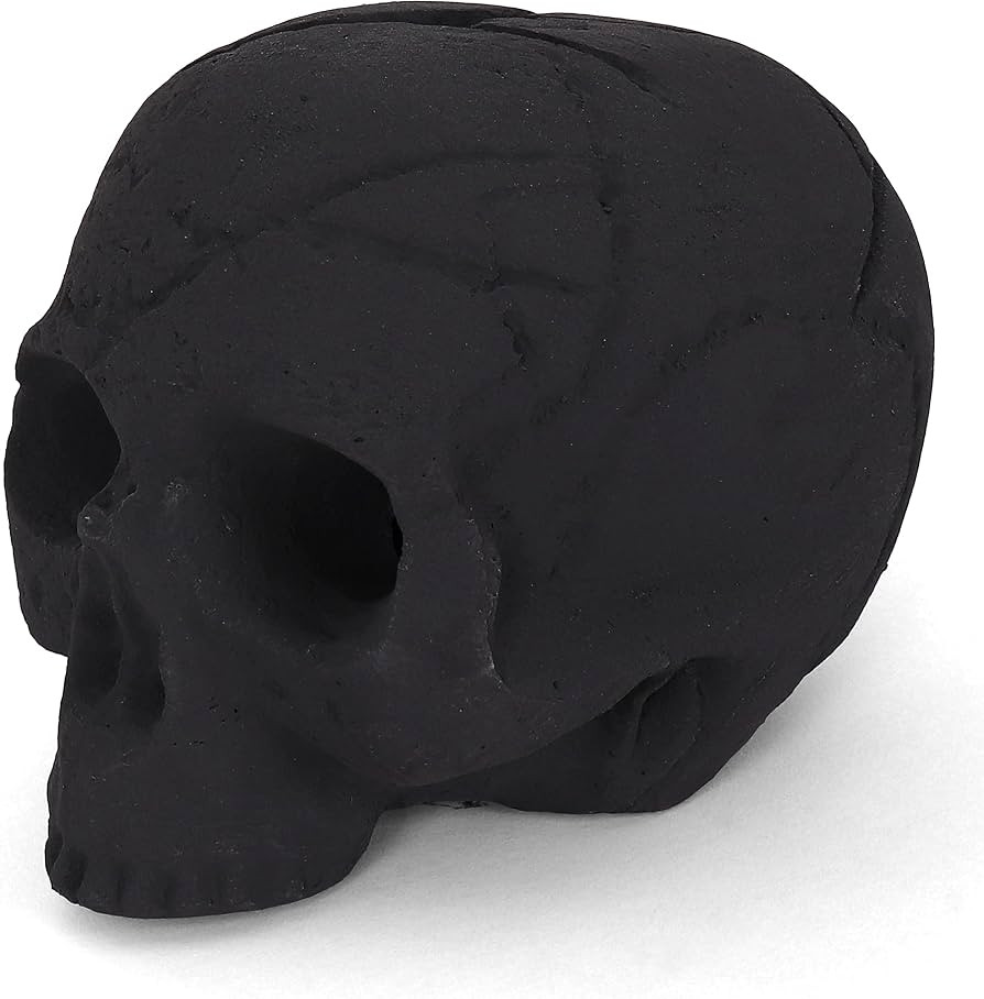 Blue Ridge Brand Ceramic Skull Fire Logs - Fire Pit Skulls - Ceramic Skull Logs - Skeleton Head/S... | Amazon (US)