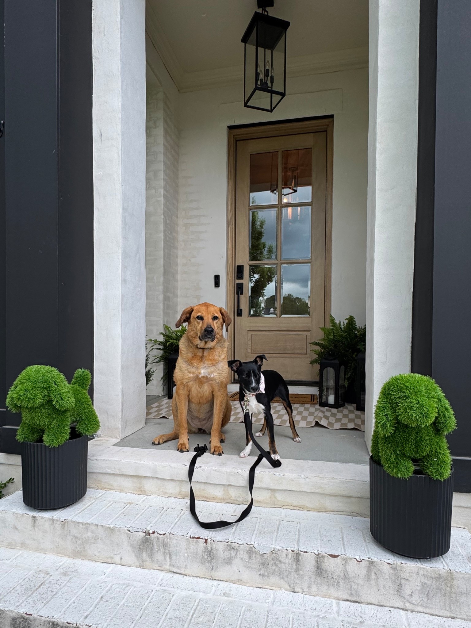 Just hangin’ with my dawgs! 

These dog topiaries are super cute! You can put them right in the lawn with the provided stakes or set them on top of a planter as shown here. They just add a bit of fun to your front entrance. 

#LTKFindsUnder50 #LTKHome #LTKSeasonal