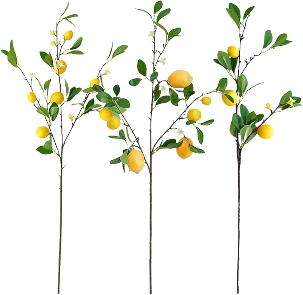 Aphmeir Set of 3 Artificial Lemon Branches, 32 Inch Always Fresh Lemon Branches with Flowers for ... | Amazon (US)