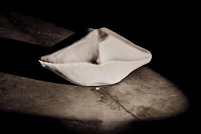 Noir Fiber Cement Lips With White Finish AR-251WFC  | eBay | eBay US