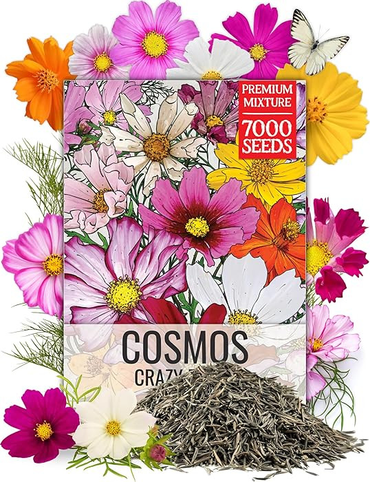 Seed Needs Wildflower Seeds Cosmos Crazy Blend 1.5 Ounce No Filler | 10+ Varieties Including Seas... | Amazon (US)