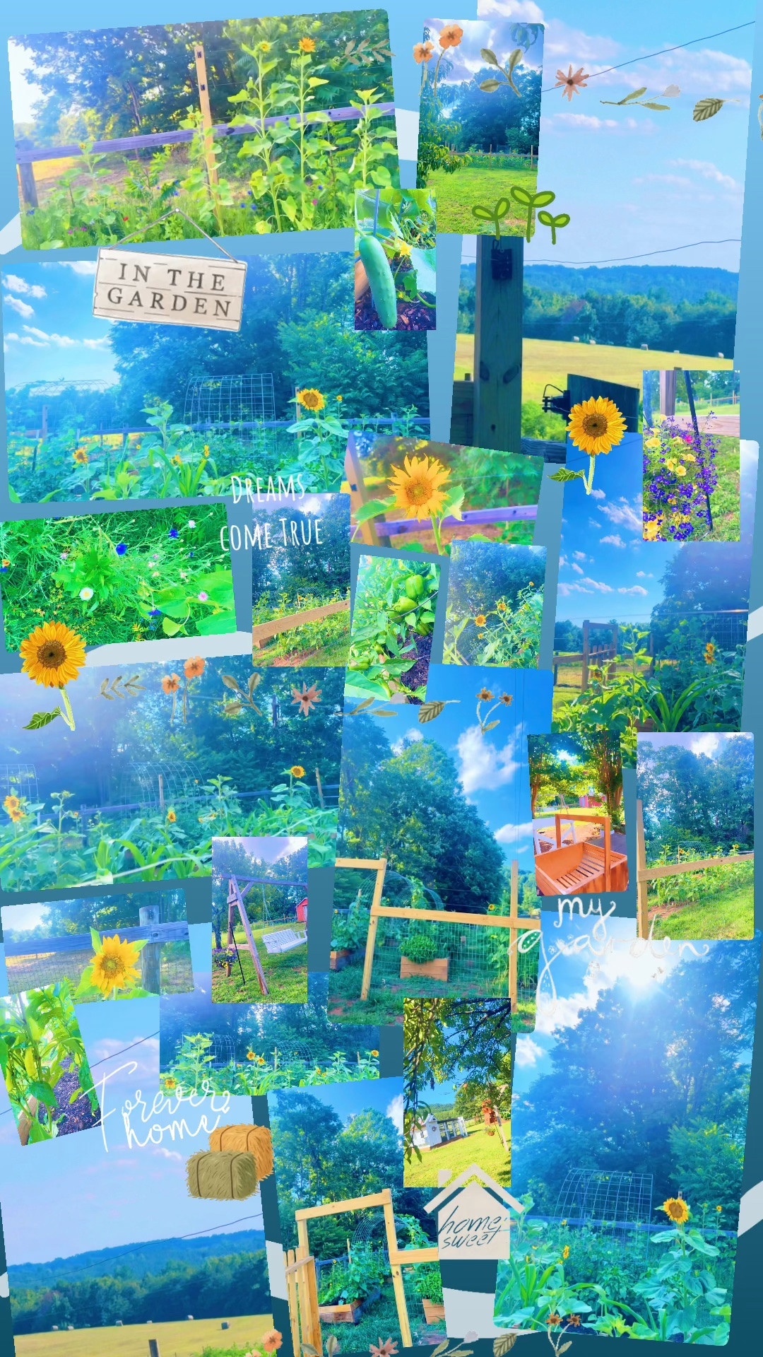 Garden of mama’s dreams!!!