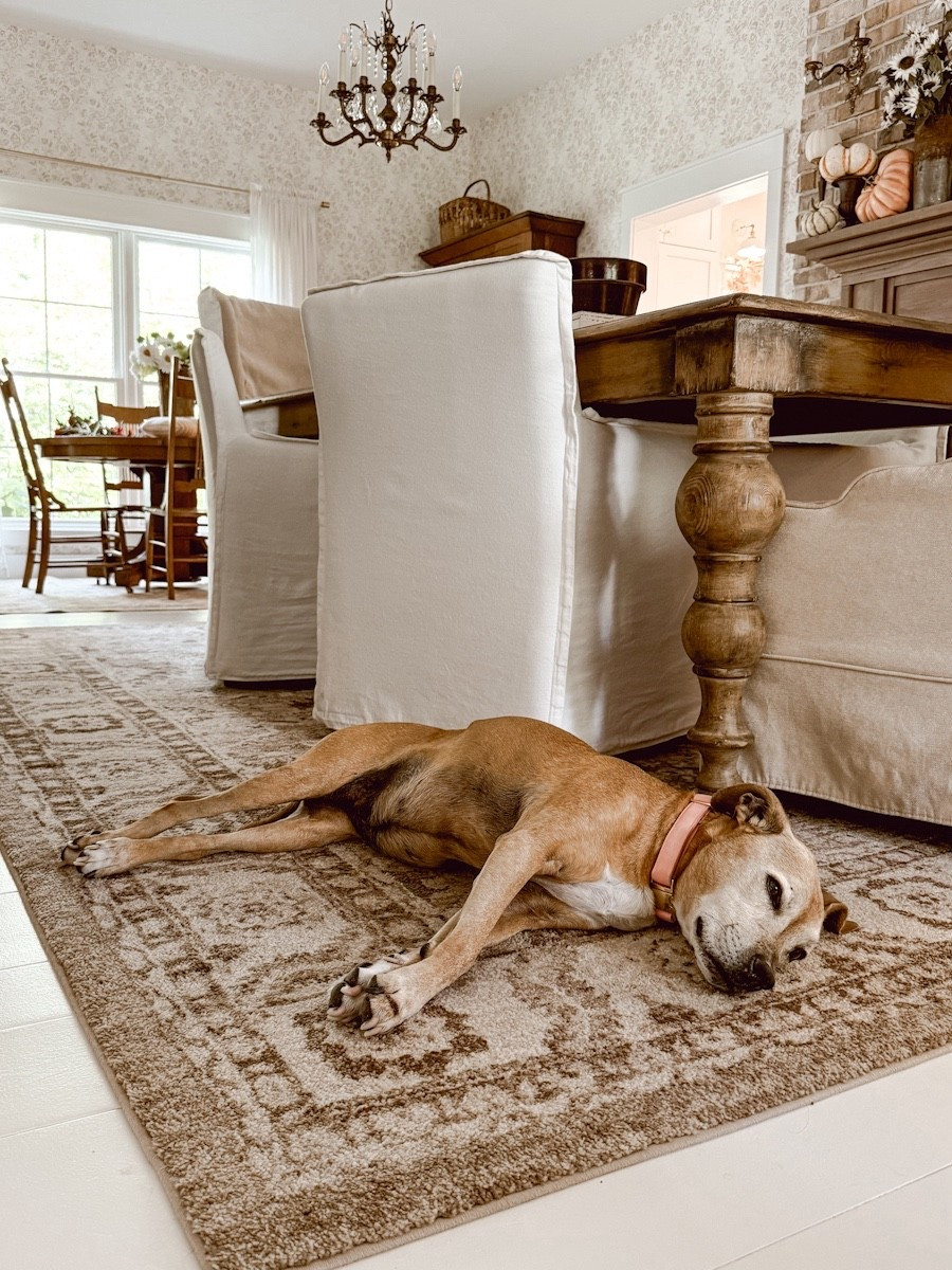 I got a question as to whether our dining room rug was new or vintage. This is a new one with a vintage style. It is currently available from both Kohls and The Home Depot and both have special sale offers that can be used with it! 

#LTKHome #LTKSeasonal #LTKSaleAlert