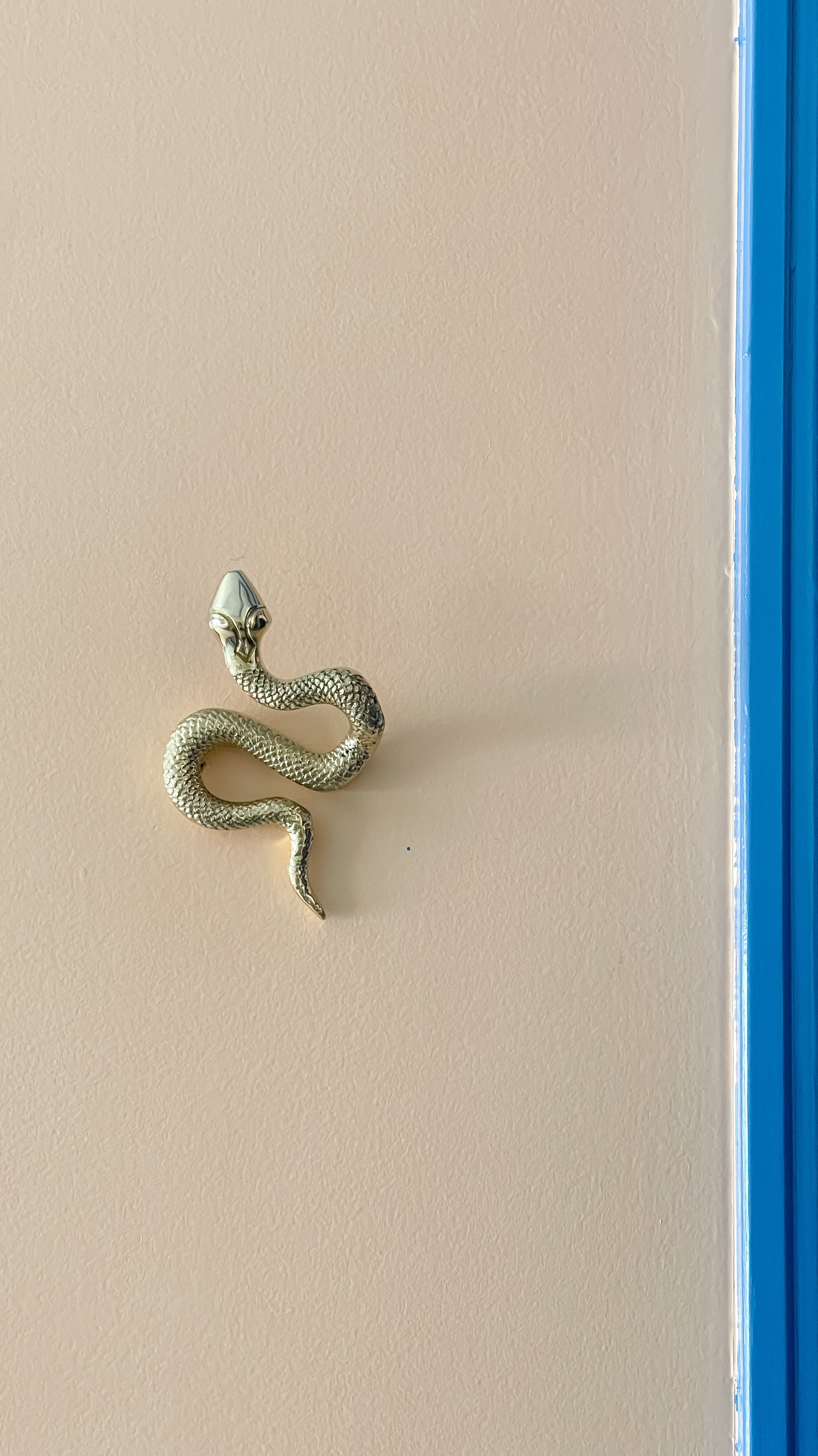 Fun and quirky wall hook #brasshooks #cb2

#LTKFamily #LTKHome #LTKFindsUnder100