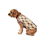 FOCO Florida State Seminoles NCAA Busy Block Dog Sweater - XL | Amazon (US)