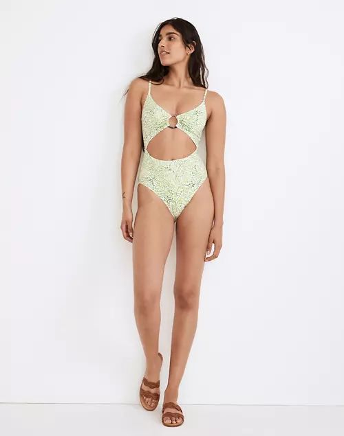 Madewell x Solid & Striped® Esme One-Piece Swimsuit in Painted Floral | Madewell
