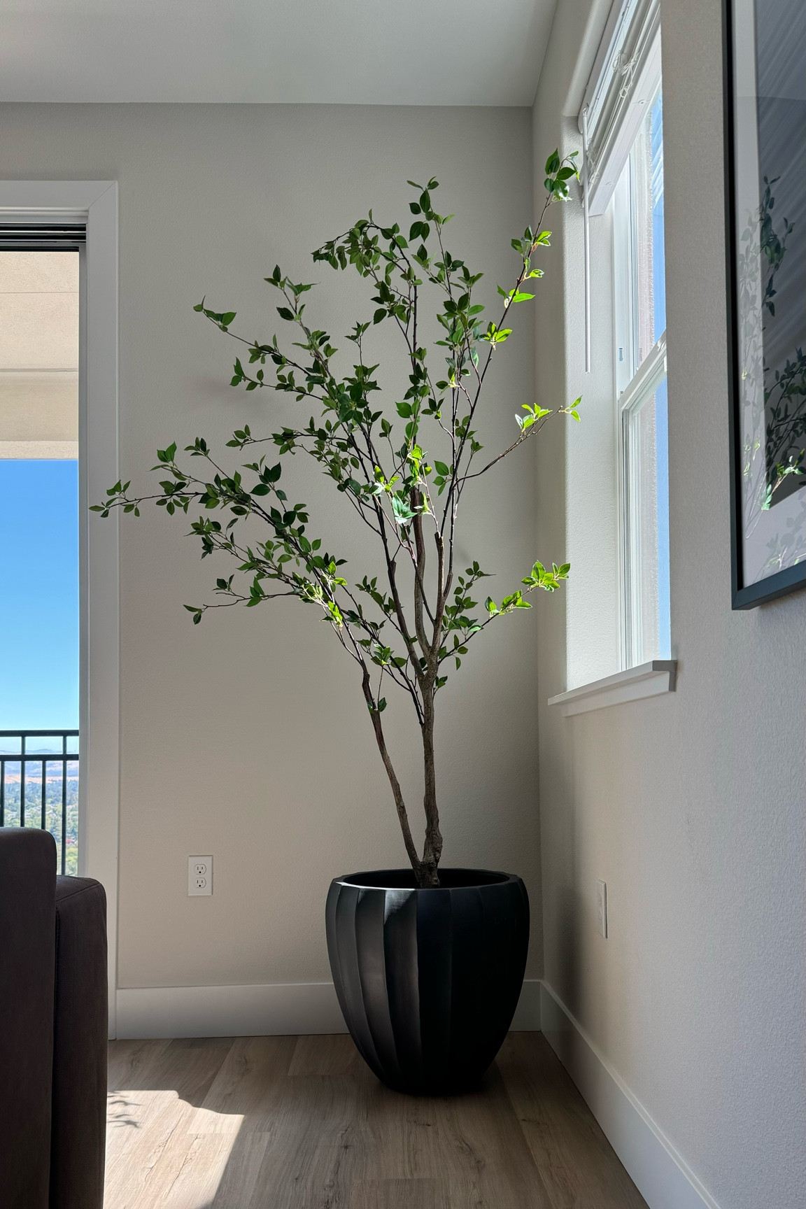 Nearly Natural nailed it with this faux citrus tree. It is stunning! 

#LTKOver40 #LTKStyleTip #LTKHome