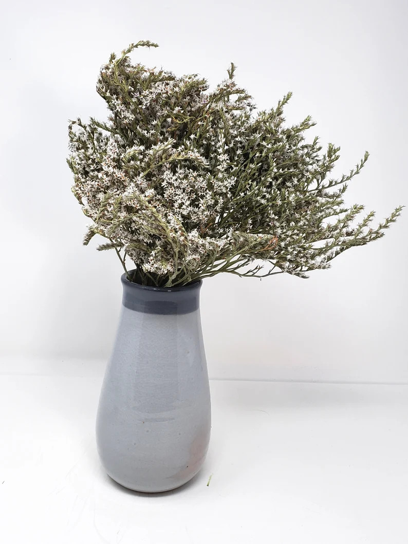 German Statice Natural  White Dried Statice White Flowers - Etsy | Etsy (US)