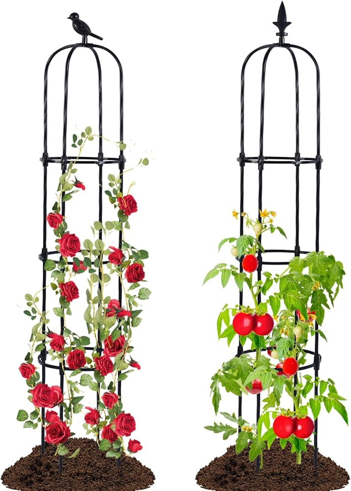 Lalahoni Garden Trellis for Climbing Plants Outdoor, 2 Pack 6ft Tall Plant Support for Potted Pla... | Amazon (US)