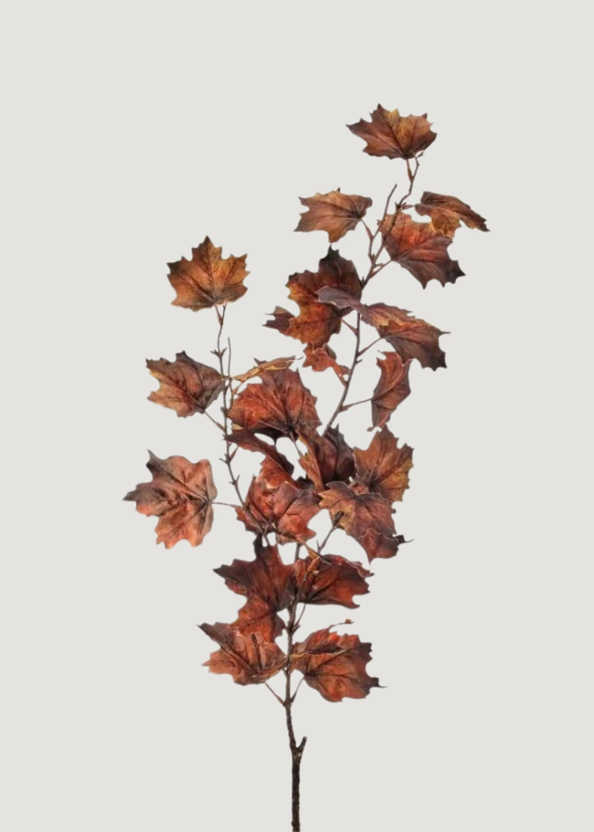 Maple Leaf Branch in Nutmeg | Tall Faux Fall Branches | Afloral | Afloral