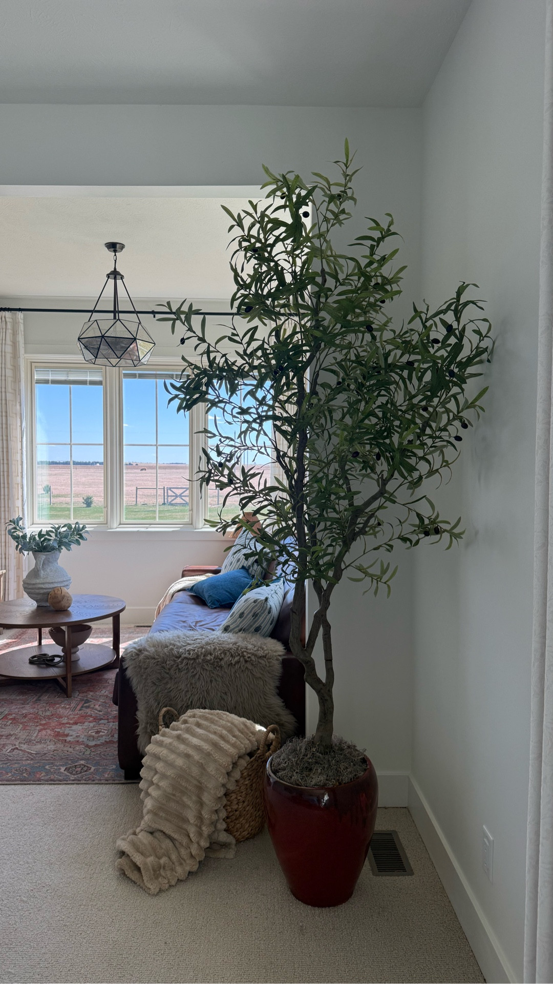 If you have a boring corner of the room I highly recommend adding this olive tree from @lyersetree.  It’s on sale at Amazon right now and the quality is 10/10.  Comment SHOP for a link.

Thank you Lyerse tree for the beautiful olive tree. #gifted

#homedecorating #olivetree #lyersetree #homedecorideas