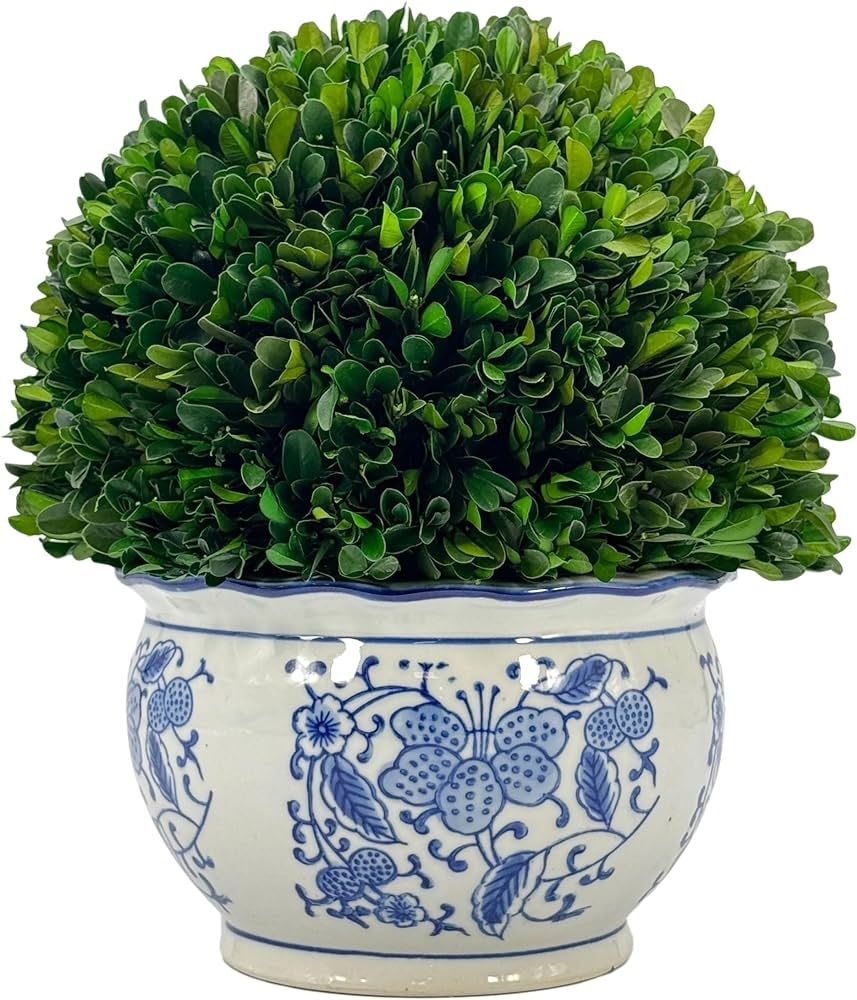 Galt International 11" Naturally Preserved Real Boxwood Ball in Hand-Painted Round Bulb Blue & Wh... | Amazon (US)