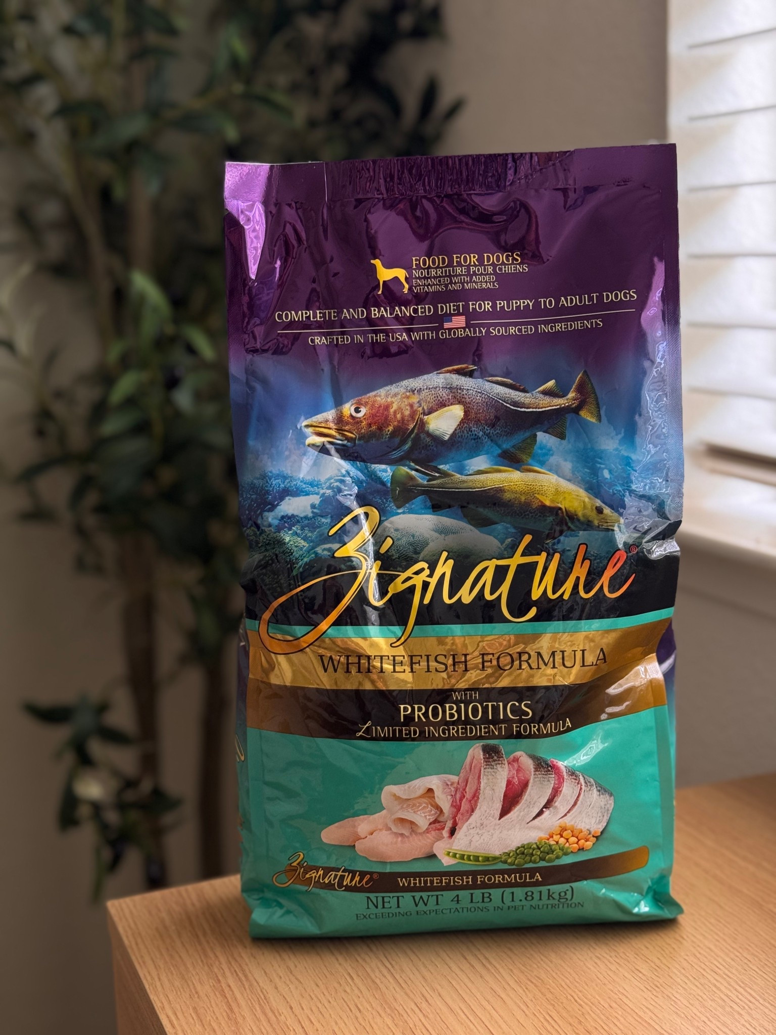 dog food we use for remi 🐾





#LTKmorningroutine #LTKdayinmylife #LTKmomlife