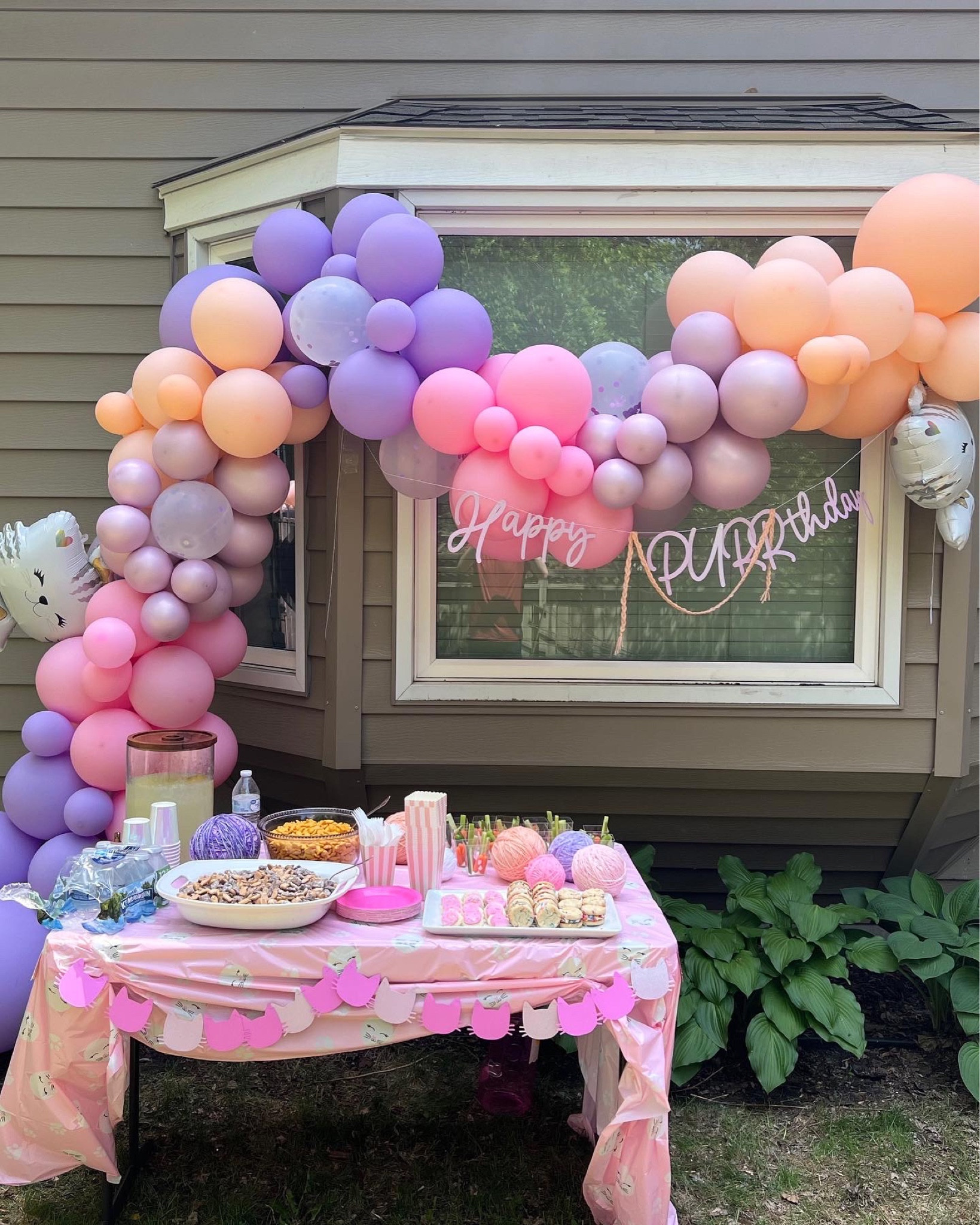 A purrfect kitty party! 