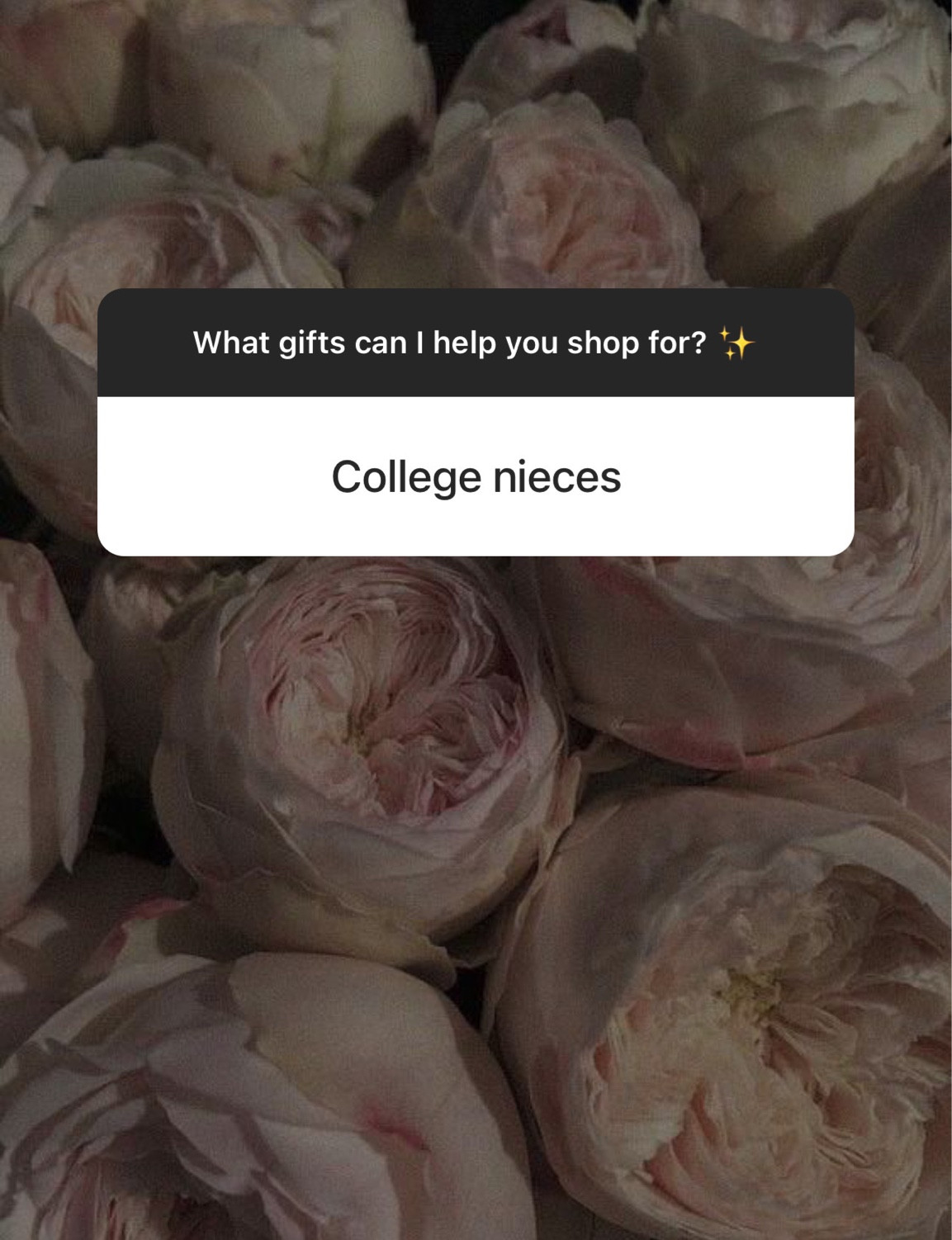 Gifts for college aged niece. ✨#stylinbyaylin

#LTKCyberWeek #LTKHoliday #LTKGiftGuide