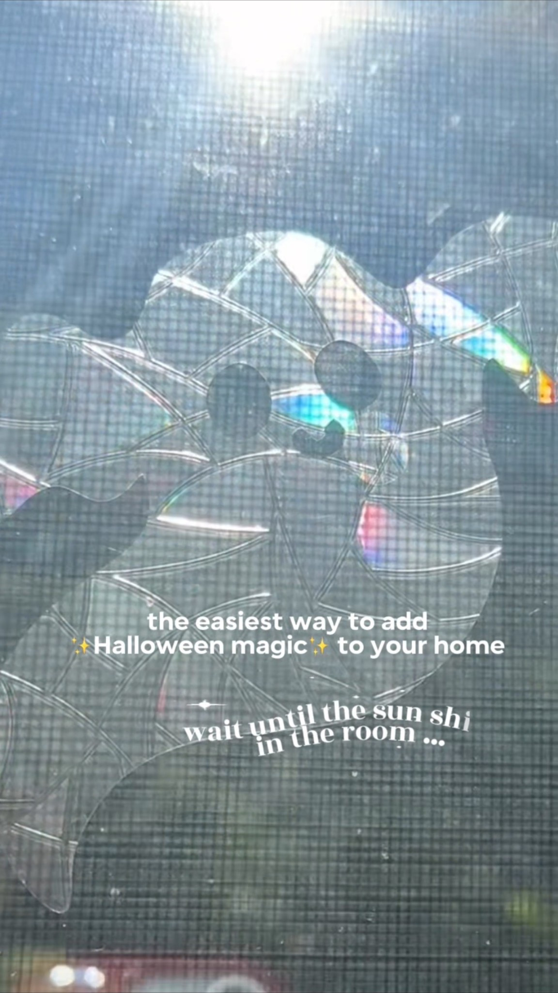 The coolest Halloween decor! Makes rainbows all over the room! ✨🌈 #halloweendecor #amazonfinds #halloween

#LTKSeasonal #LTKKids #LTKHome