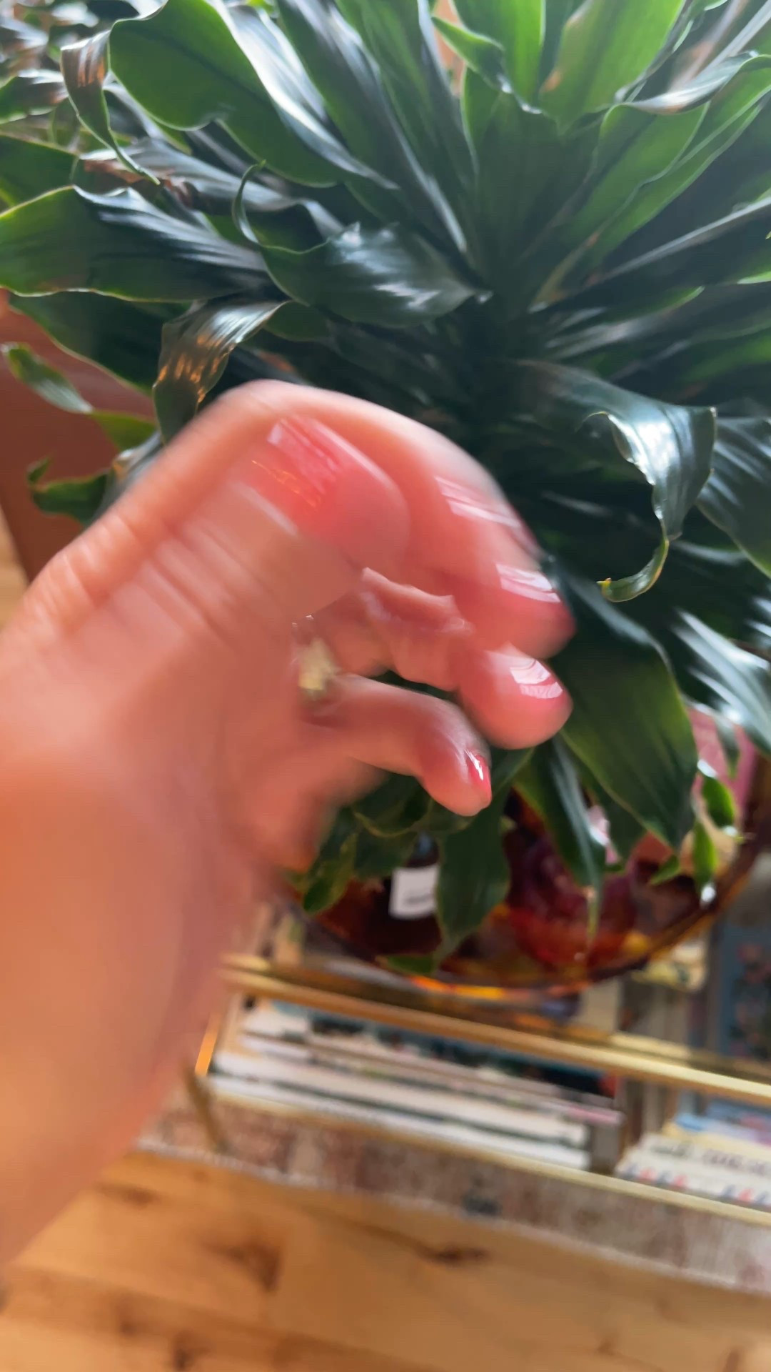 I’m breaking up with my nail appointments and this manicure kit from Manucurist is amazing!! Salon quality gel nails at home! 

#LTKFindsUnder100 #LTKBeauty #LTKWorkwear