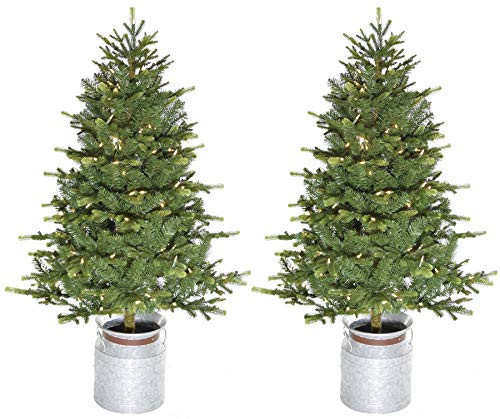 Fraser Hill Farm 3.5-Ft. Porch Accent Trees with Warm White LED Lights in Rustic Farmhouse Style Metal Jugs, Set of 2 Small Prelit Christmas Trees Perfect for Porch, Entryway, or Hearth | Amazon (US)