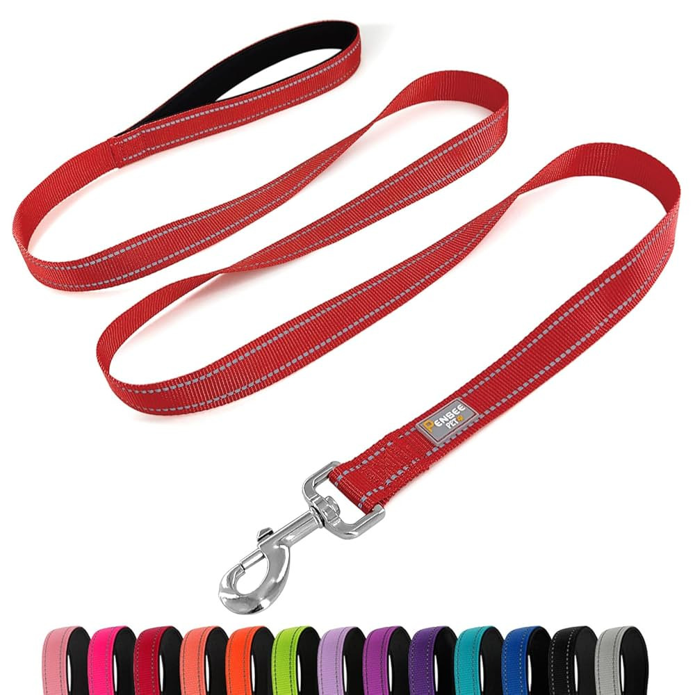 Dog Leash 6 FT Padded Handle Nylon Reflective Dogs Leashes for Medium Dogs Red | Amazon (US)